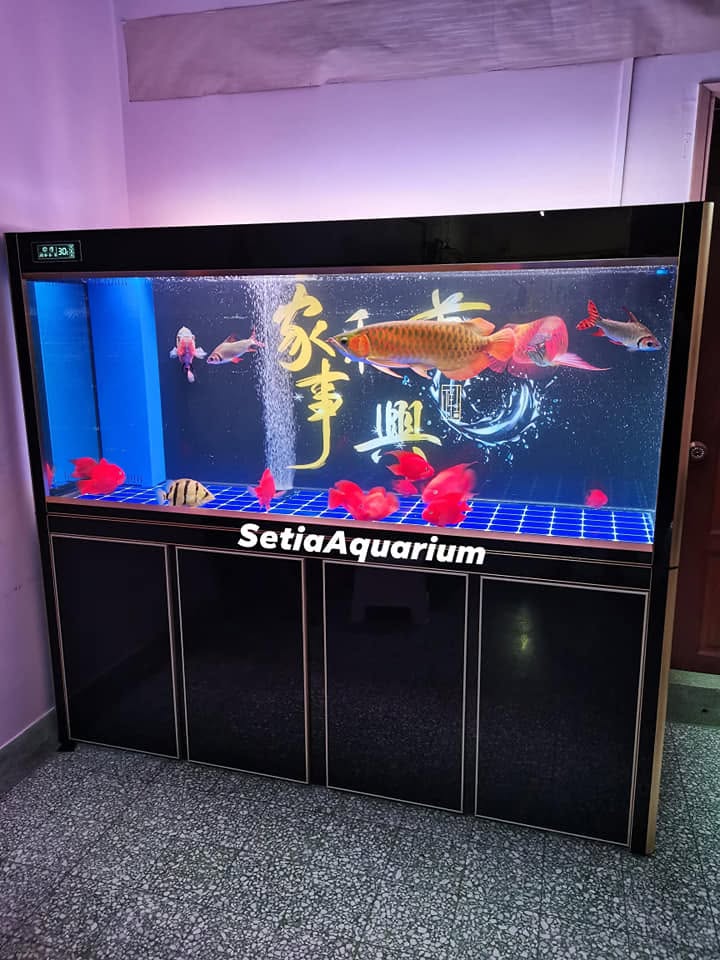 Initial Aquarium Setup 初步水族館設置