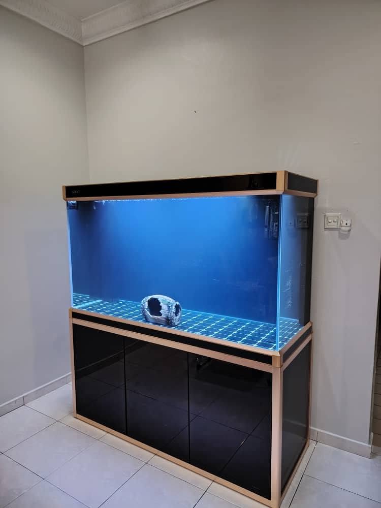 Aquarium Tank 魚缸